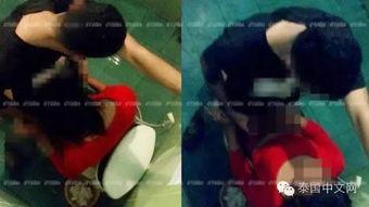 成人 XX在线视频,探索成人XX在线视频的奥秘与启示