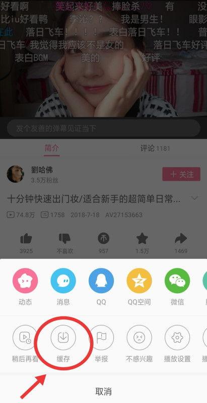 欧州日韩一级视频 迅雷下载,轻松获取热门影视资源