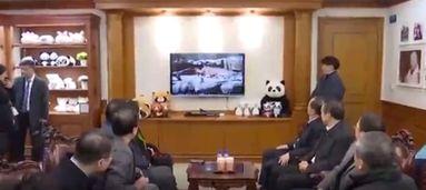 烟台代表团访问日韩视频,深化交流，共谋合作新篇章