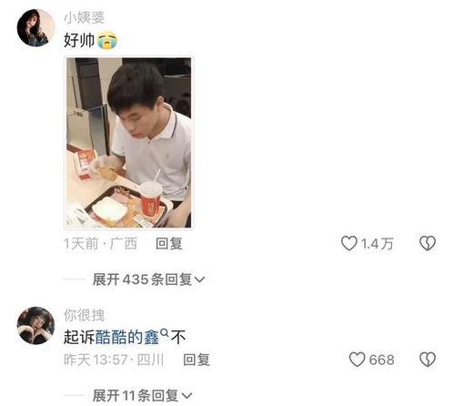 日韩网友胖猫视频网站,胖猫视频网站，萌宠魅力席卷网络