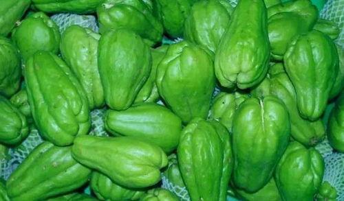 吃瓜智慧看点官网,揭秘娱乐圈幕后故事，带你领略娱乐界的真实面貌